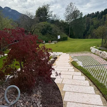 Bella Di Bosco - Ai Meli - Dolomites Daire Lozzo Cadore